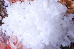 Пищевая соль: виды, вред и польза